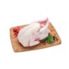 FILE PEITO FRANGO CONGELADO KG