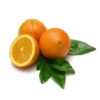 LIMAO TAITI KG
