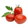 VAGEM KG