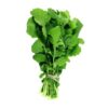 ALFACE HIDROPONICA UN