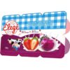 BEBIDA LACTEA FRUTILAC S FRUTA GF1,150G