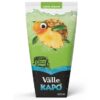 REFRESCO FRISCO UVA 18G