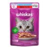 RACAO DOG CHOW FILHOTE FRANGO SACHE 100G