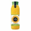 FRUTI AMENDOIM TORRADO C CASCA 500G