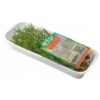 HORTI MIX TEMPEROS PARA C