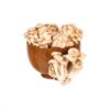 HORTI COGUMELO PARIS 200G